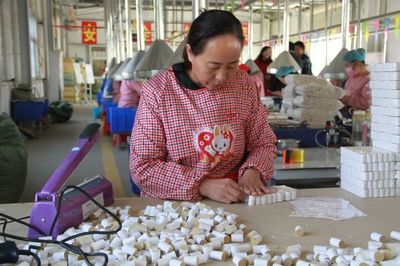 仲景艾草产业 从文化瑰宝到世界名片